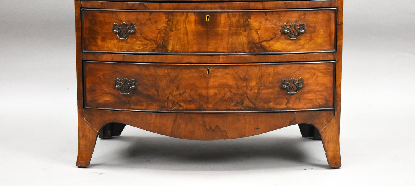 Early 20th Century Figured Walnut Bow front Chest Drawers